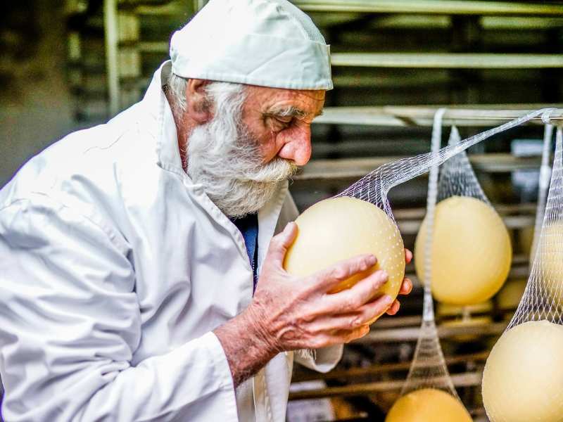 in cammino per la terra prodotti biologici biostretto agro falisco