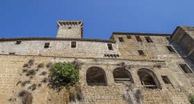 Castle of the Anguillara family