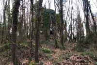 I boschi di Orte, tra scorci e la torre medievale d'avvistamento