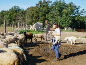 Trekking sulla Via Amerina con visita e degustazione nell&#039;azienda biologica Sansoni