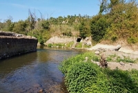 Lungo la forra del fiume Treja da Civita Castellana
