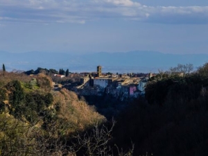 Il sentiero del Piarino: memorie e racconti di guerra