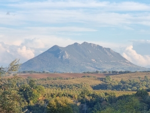 Sulle orme dell’Armata Brancaleone