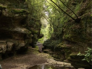 Conosciamo Gallese, il territorio, il borgo, la storia