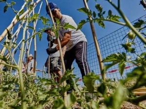 BIOAGRISOCIAL - Agricoltura Sociale nella Tuscia Bio