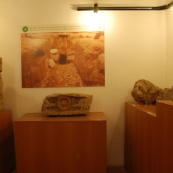 Sezione Etrusca del Museo di Orte